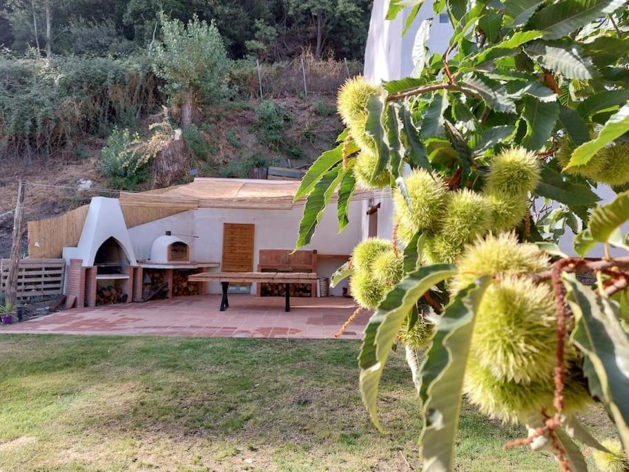 Júzcar Casa Barrancoヴィラ エクステリア 写真
